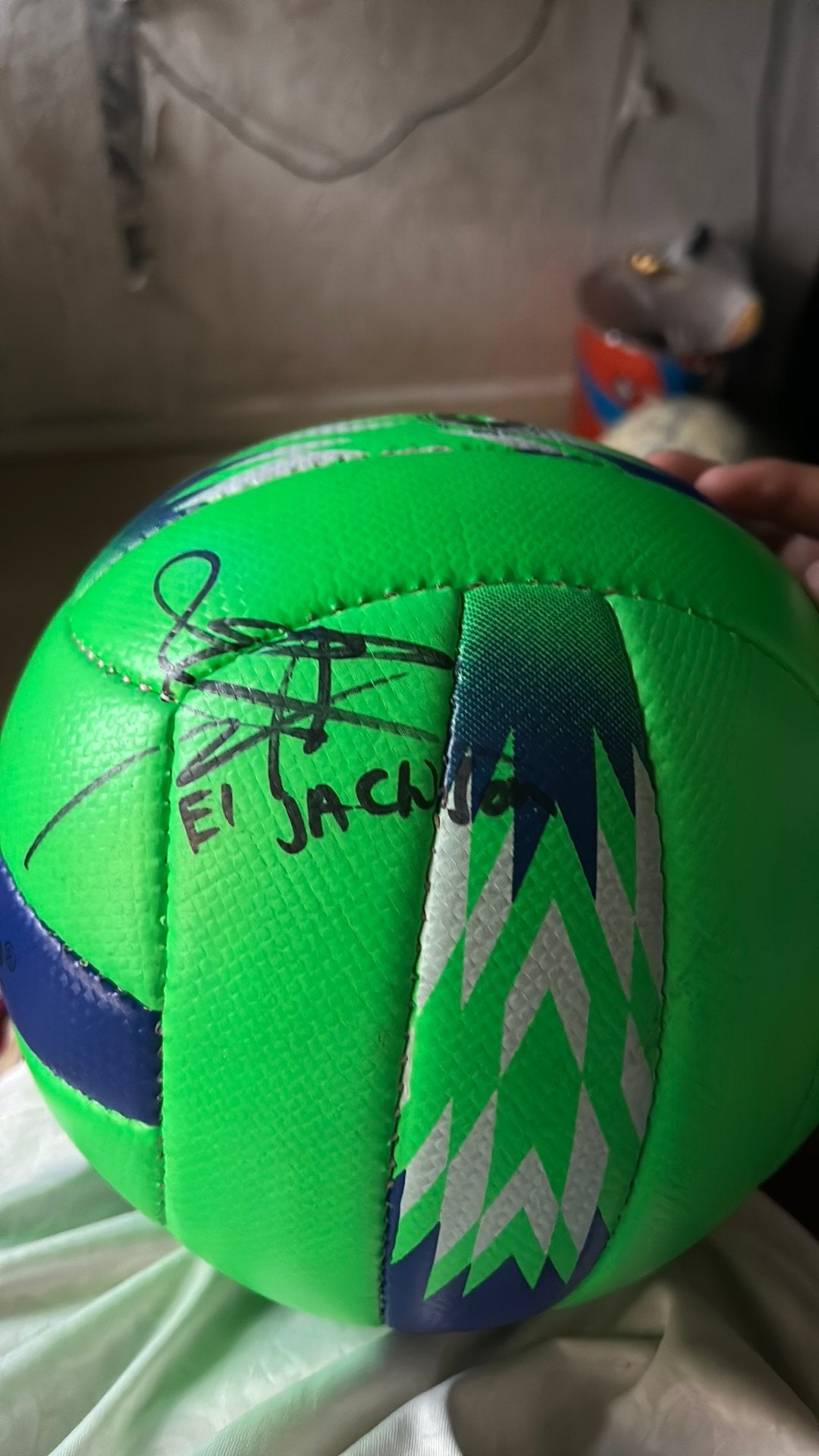 Volleyball met handtekening, Ophalen, Zo goed als nieuw, Bal
