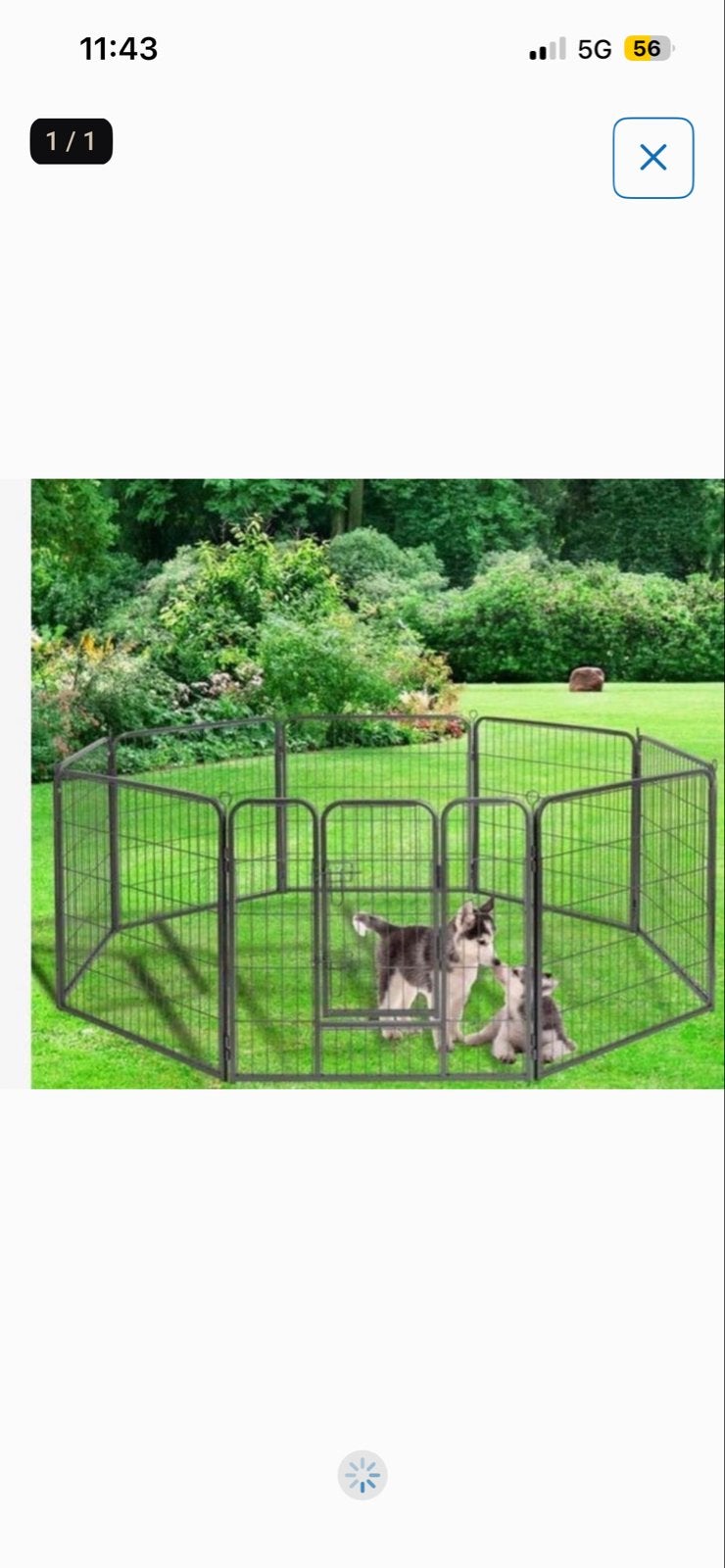 Hondenren nieuw in doos, Dieren en Toebehoren, Ophalen, Nieuw, ?, ?