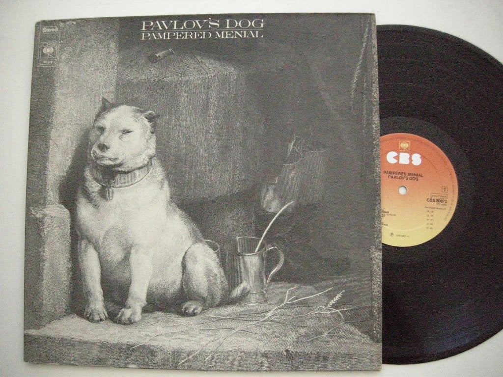 Pavlov's Dog Pampered Menial - LP vinyl zgan, Ophalen, LP, Progressive Rock, Zo goed als nieuw