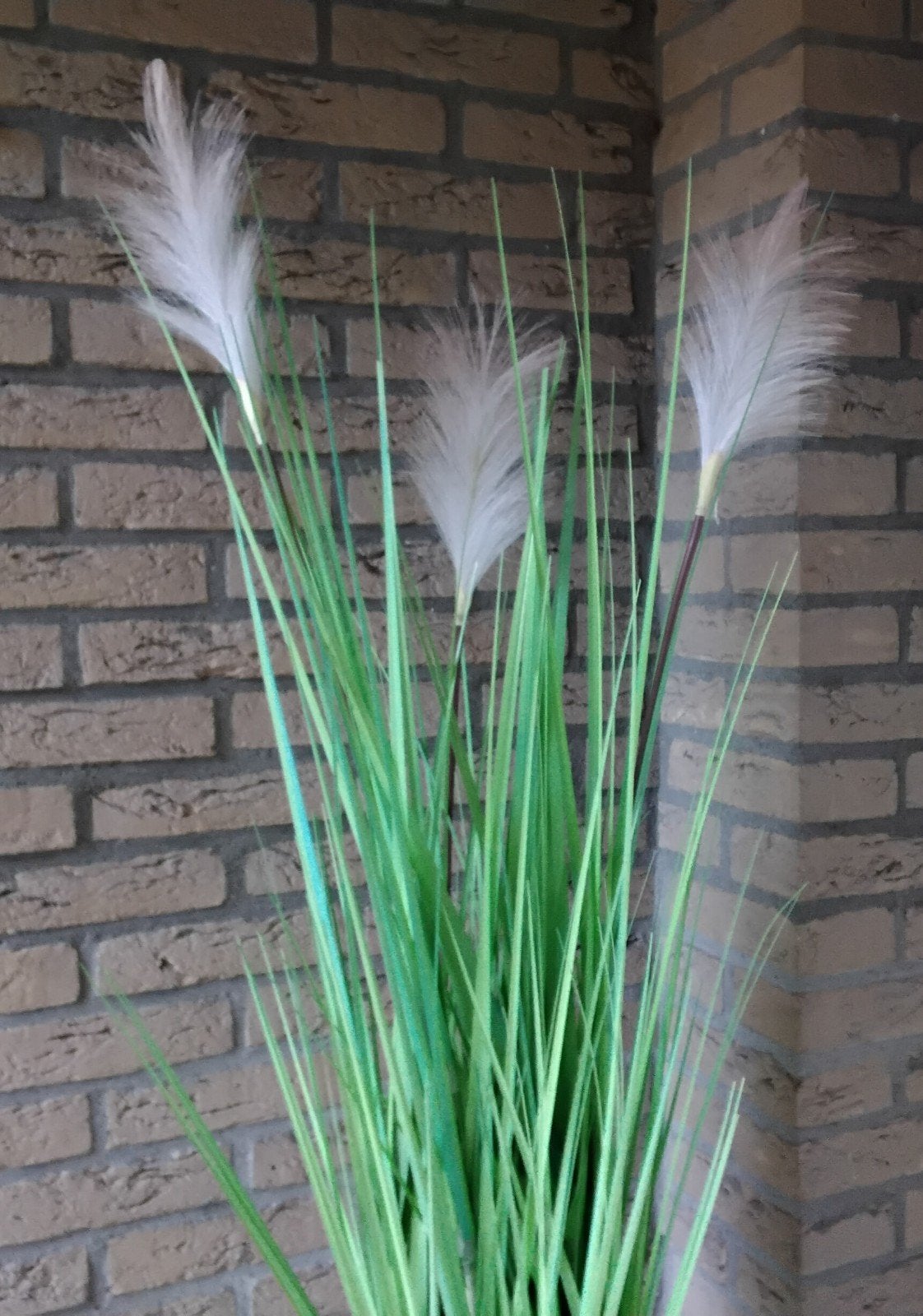Kunstplant / siergras (incl.pot/windlicht), Ophalen of Verzenden, Binnen