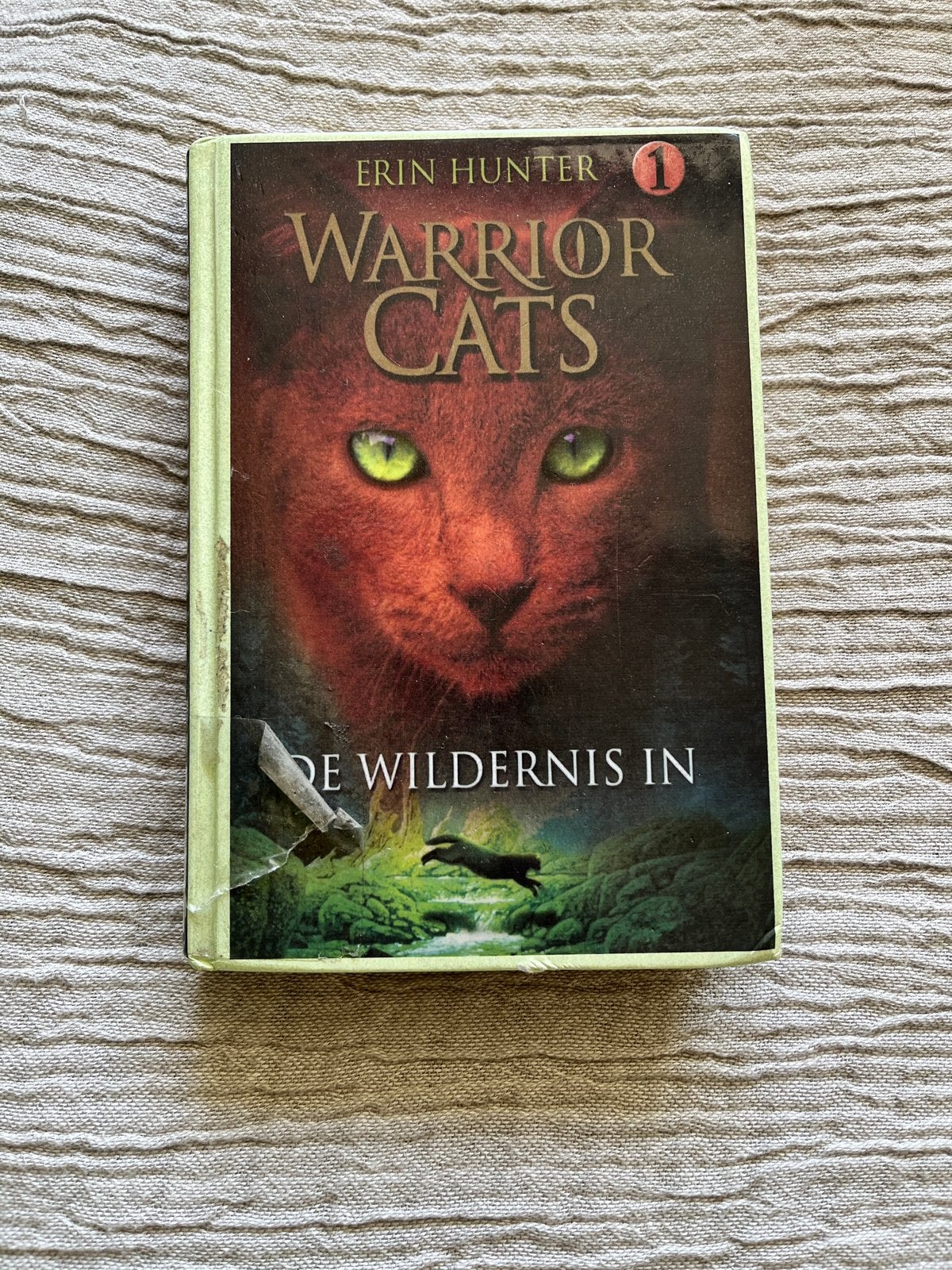 Warrior Cats: De Wildernis In (Serie 1, Deel 1), Boeken, Ophalen of Verzenden, Gelezen