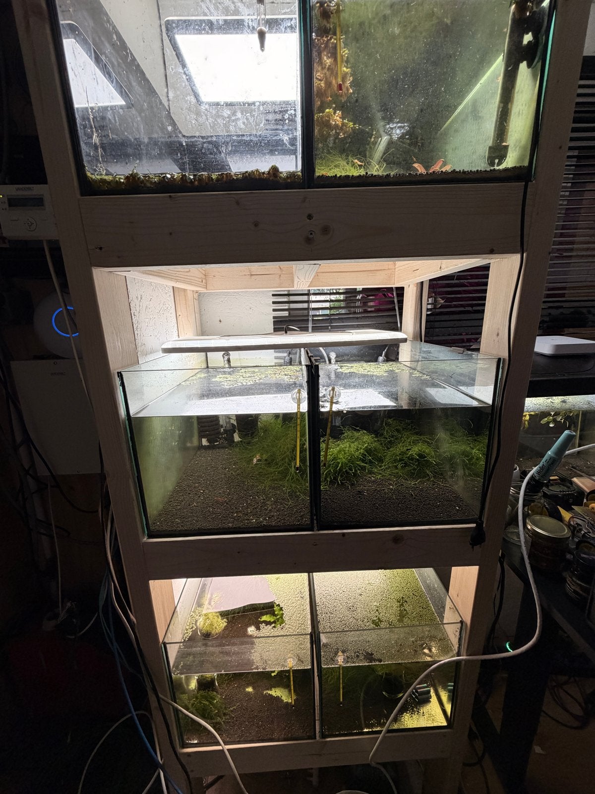 Kweek stelling compleet, Ophalen, Inclusief toebehoren, Zo goed als nieuw, Gevuld zoetwateraquarium