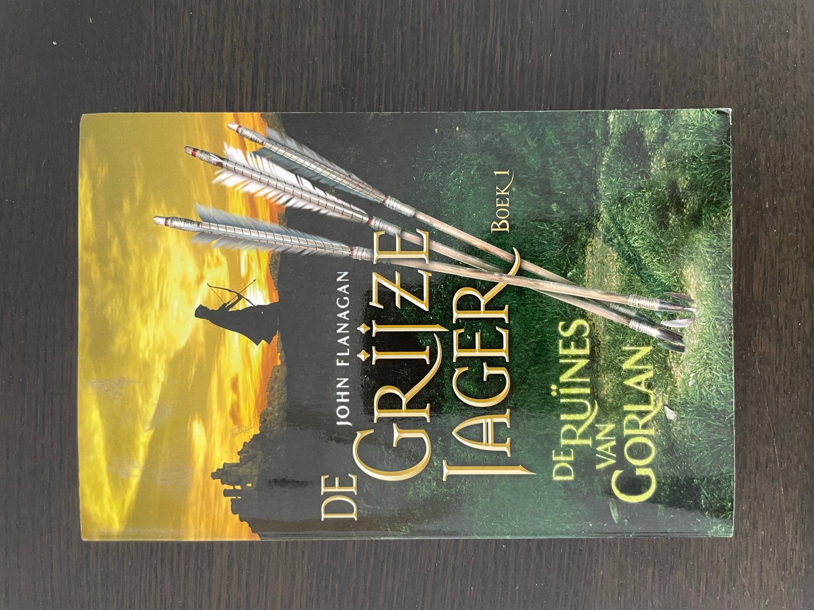 De Grijze Jager: De Ruïnes van Gorlan - Boek 1, Ophalen of Verzenden, Zo goed als nieuw