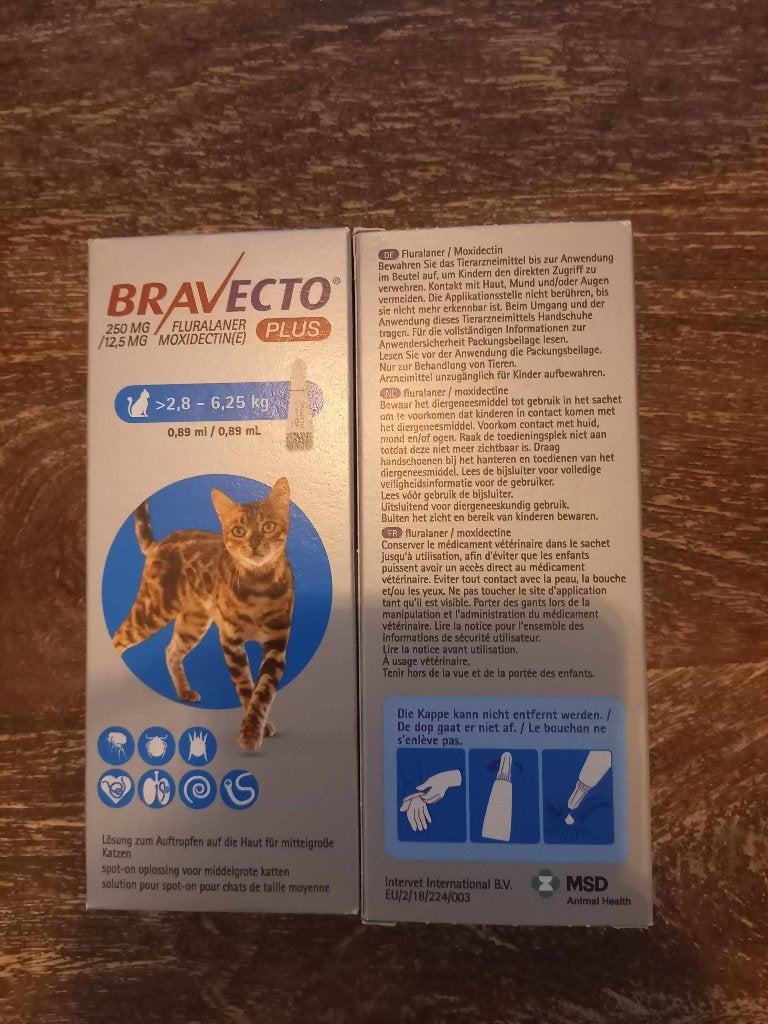 Bravecto plus - antiteek, -worm, -vlooi voor middelgrote kat, Ophalen of Verzenden, Nieuw