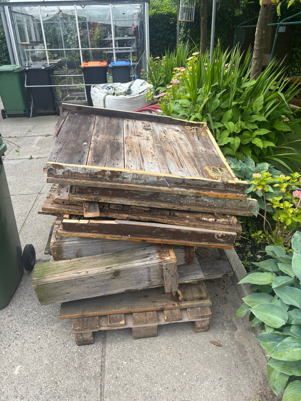 Gratis Openhaardhout inclusief europallet ‘ moet snel weg, Minder dan 3 m³, Ophalen, Overige houtsoorten, Blokken