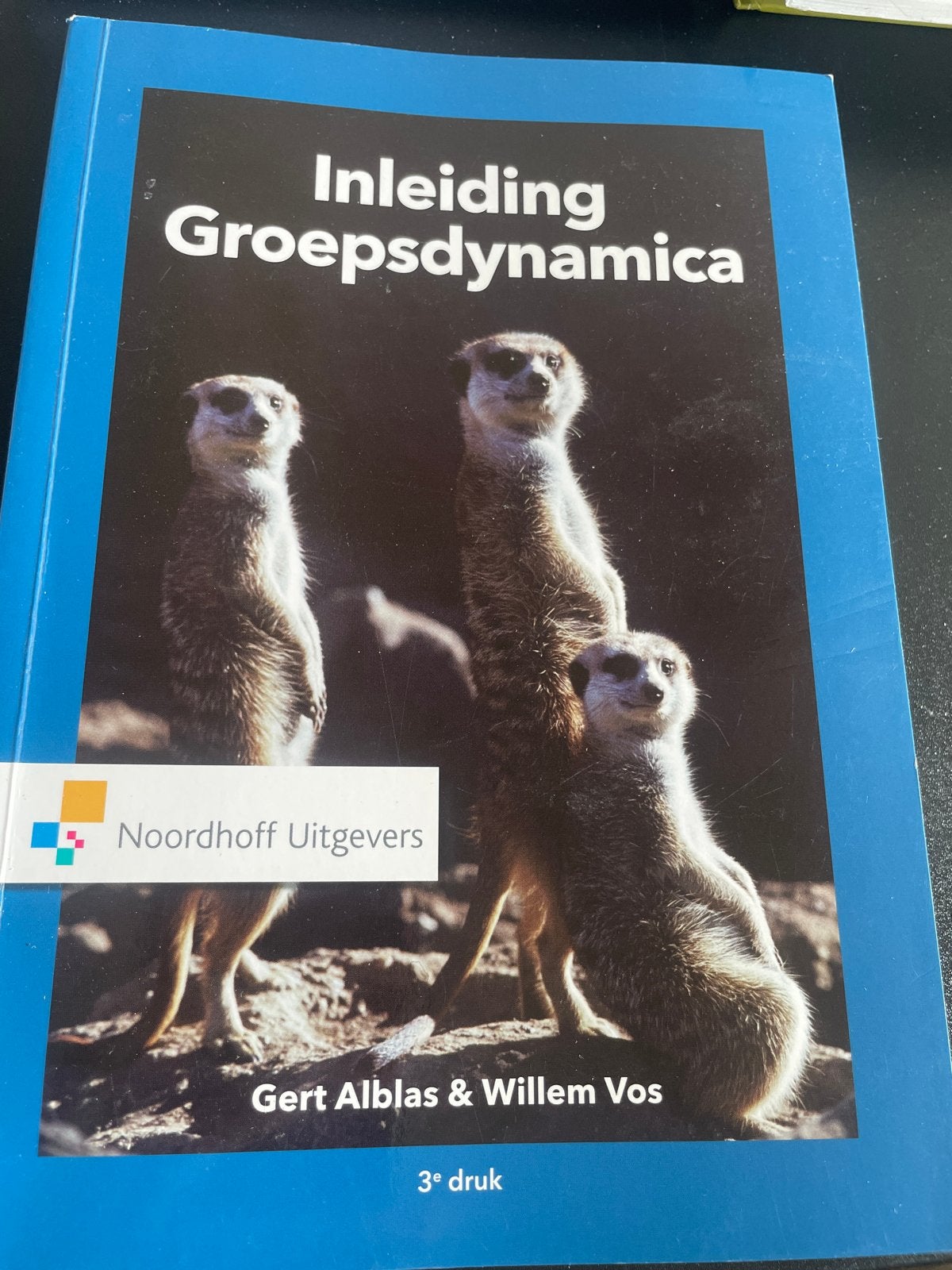 Inleiding Groepsdynamica - Gert Alblas & Willem Vos, Boeken, Studieboeken en Cursussen, Ophalen of Verzenden, Gamma, Zo goed als nieuw