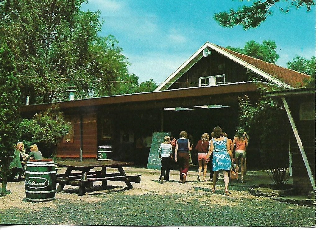 Lunteren- -Recreatieoord De Goudsberg., Verzamelen, Ansichtkaarten | Nederland, Verzenden, 1960 tot 1980, Gelopen, Gelderland