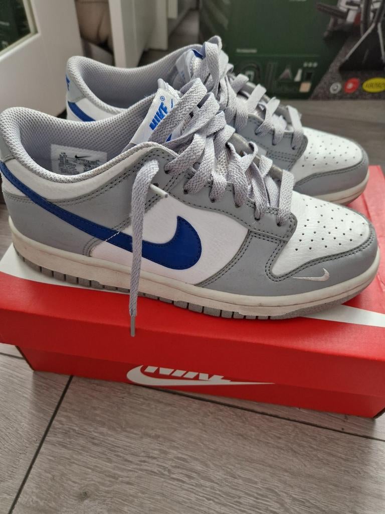 Mooie Nike dunk low!, Kinderen en Baby's, Kinderkleding | Schoenen en Sokken, Ophalen of Verzenden, Zo goed als nieuw, Jongen of Meisje
