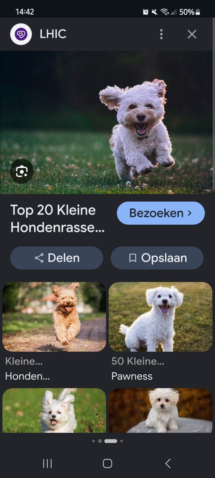 Gezocht een pup, Ophalen of Verzenden, Hond