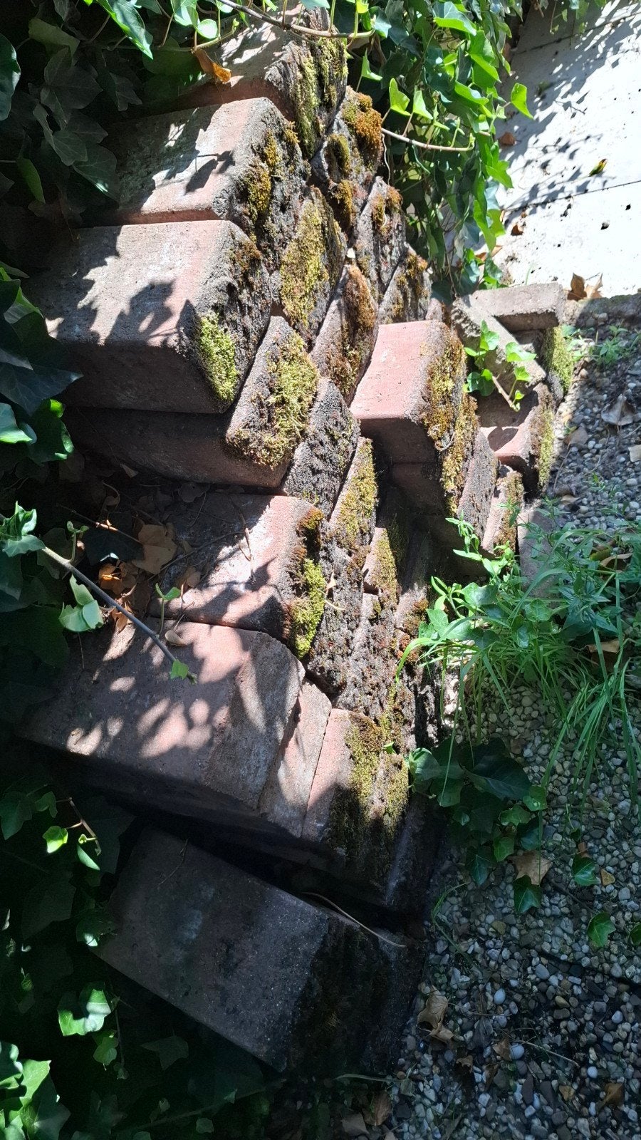 Rode grote bakstenen gratis (30x16x12cm)- 36 stuks, Tuin en Terras, Grind, Keien en Split, Ophalen
