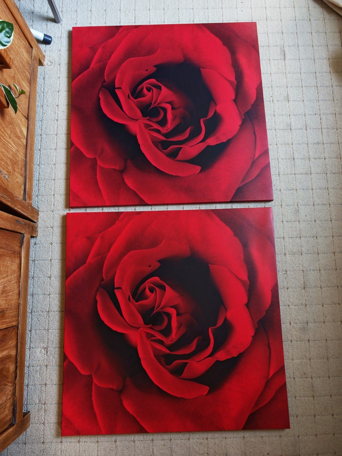 Twee identieke doeken van een roos., Ophalen of Verzenden, Minder dan 50 cm, Schilderij