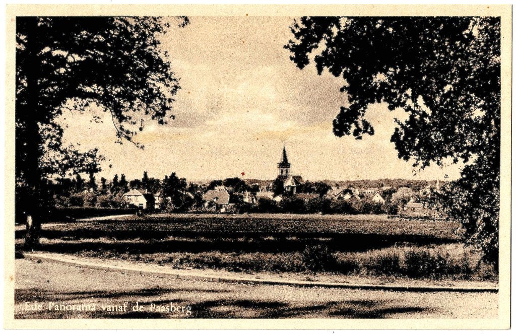 Ede Gld, Panorama vanaf de Paasberg, ongelopen 1951,, Verzenden, 1940 tot 1960, Ongelopen, Gelderland