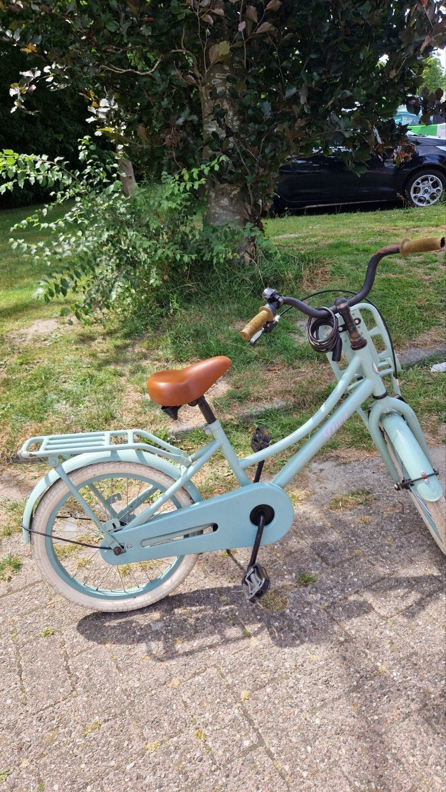 Diva kinderfiets  Mintgroen met voordrager, Ophalen, Gebruikt, Velgrem, Handrem