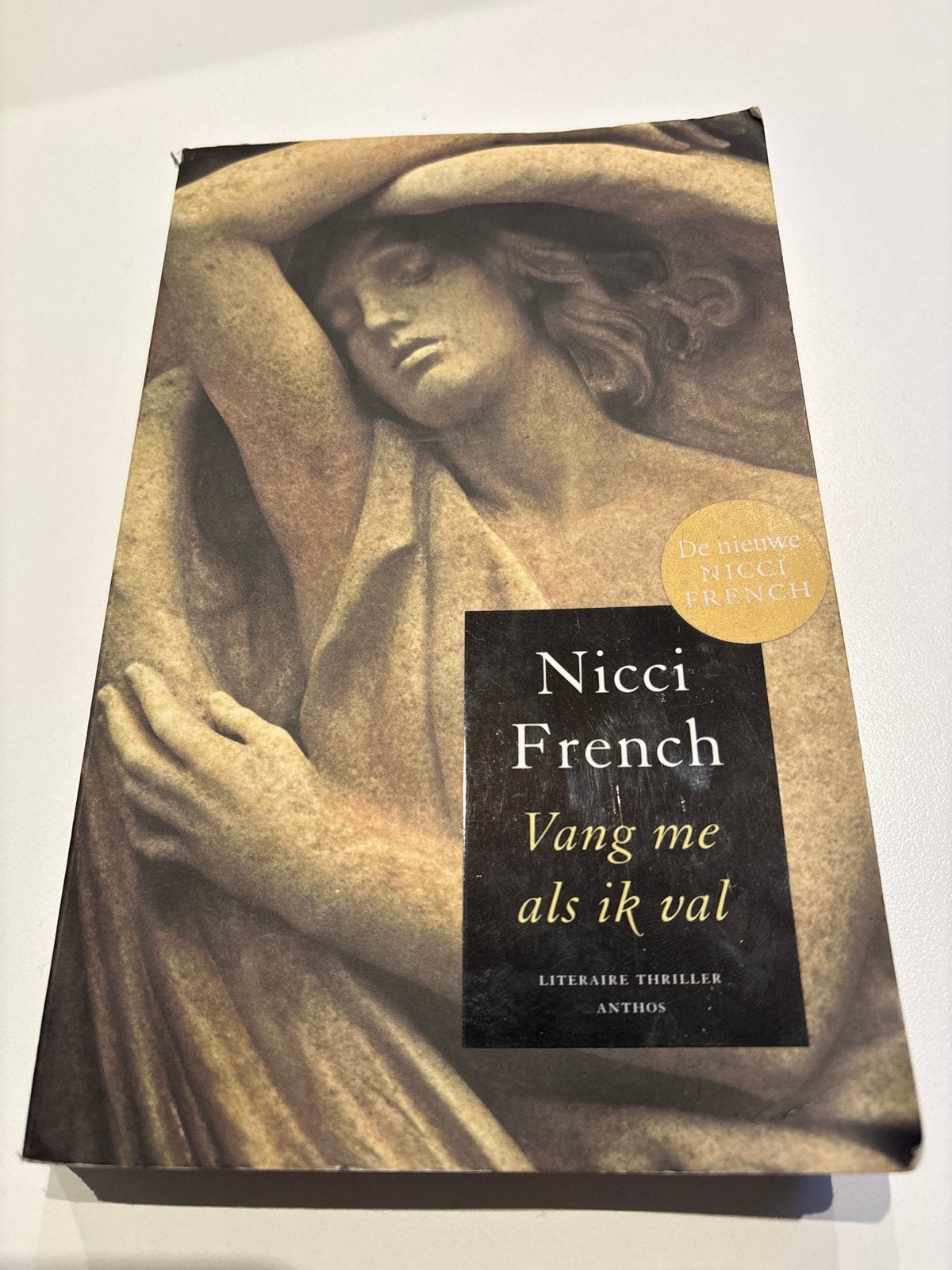 Nicci French - Vang me als ik val (Literaire thriller), Ophalen of Verzenden, Gelezen, Europa overig