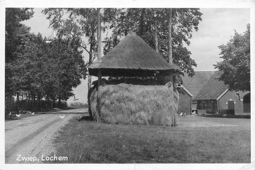 701-195-011 Lochem Zwiep, Verzenden, Voor 1920, Gelderland