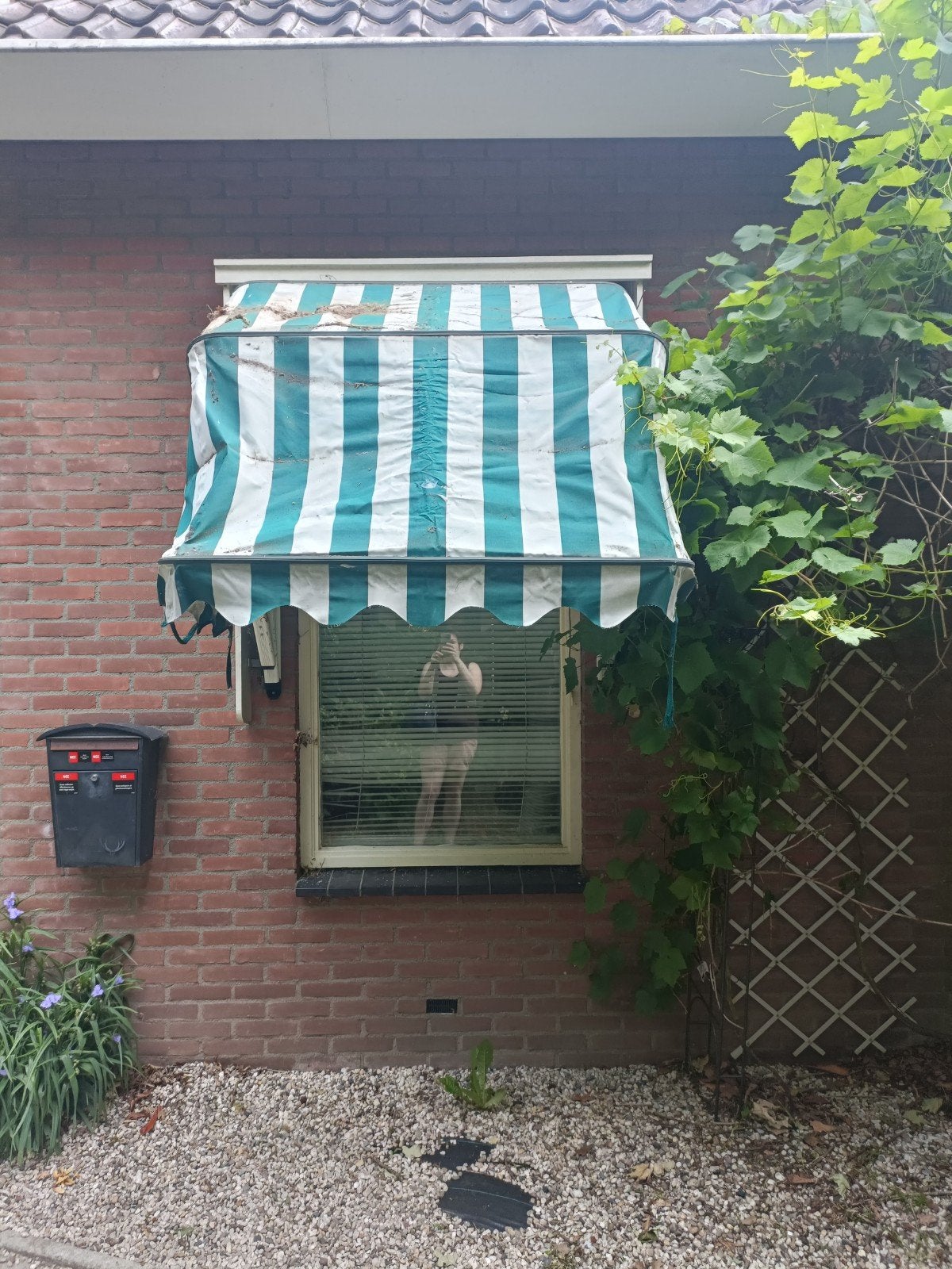 3x Markies / zonnescherm groen/wit, Tuin en Terras, Zonneschermen, Ophalen, Gebruikt, Minder dan 250 cm, Markies