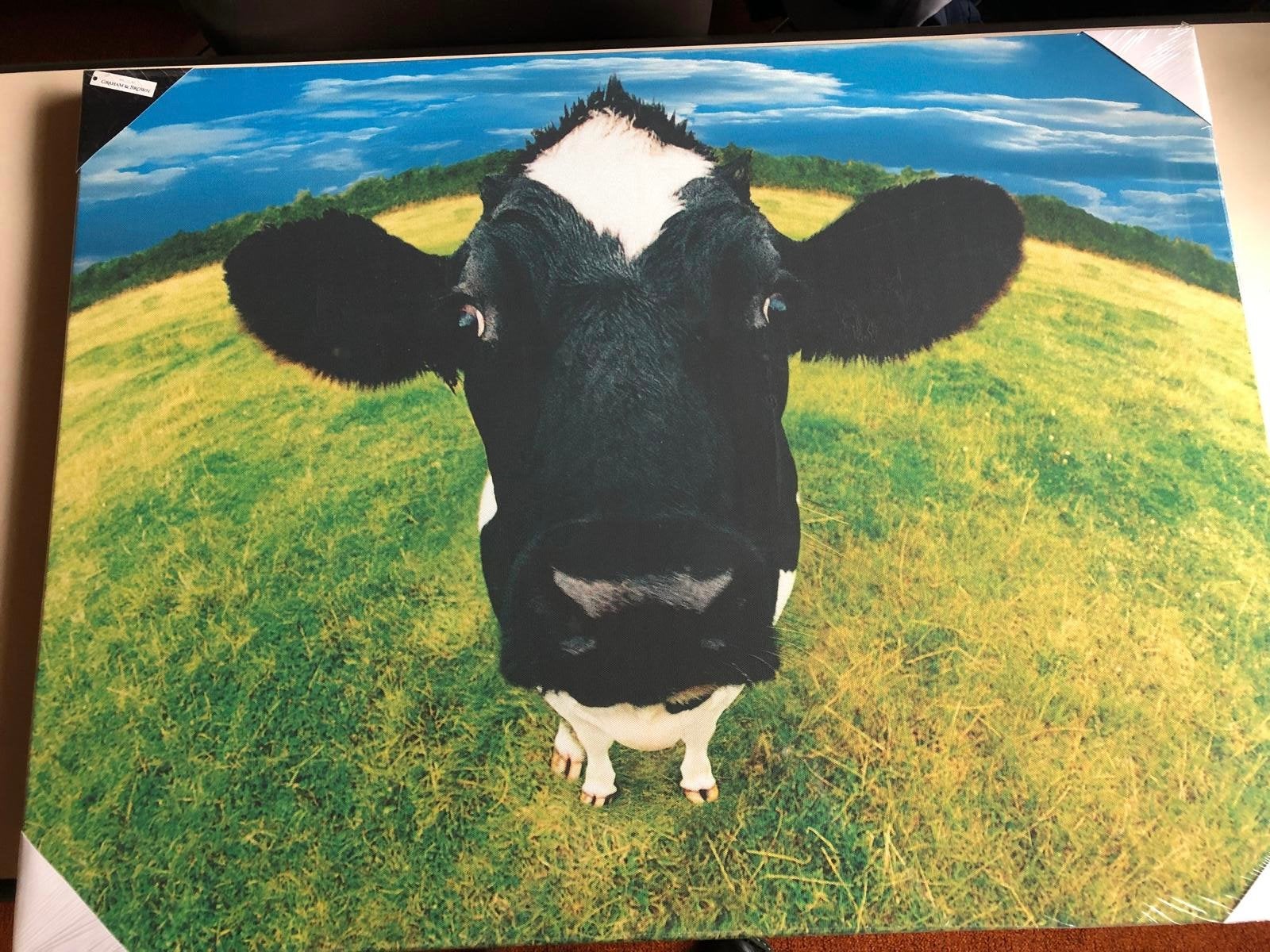 Canvas koe, Ophalen, Zo goed als nieuw, Minder dan 50 cm, Schilderij