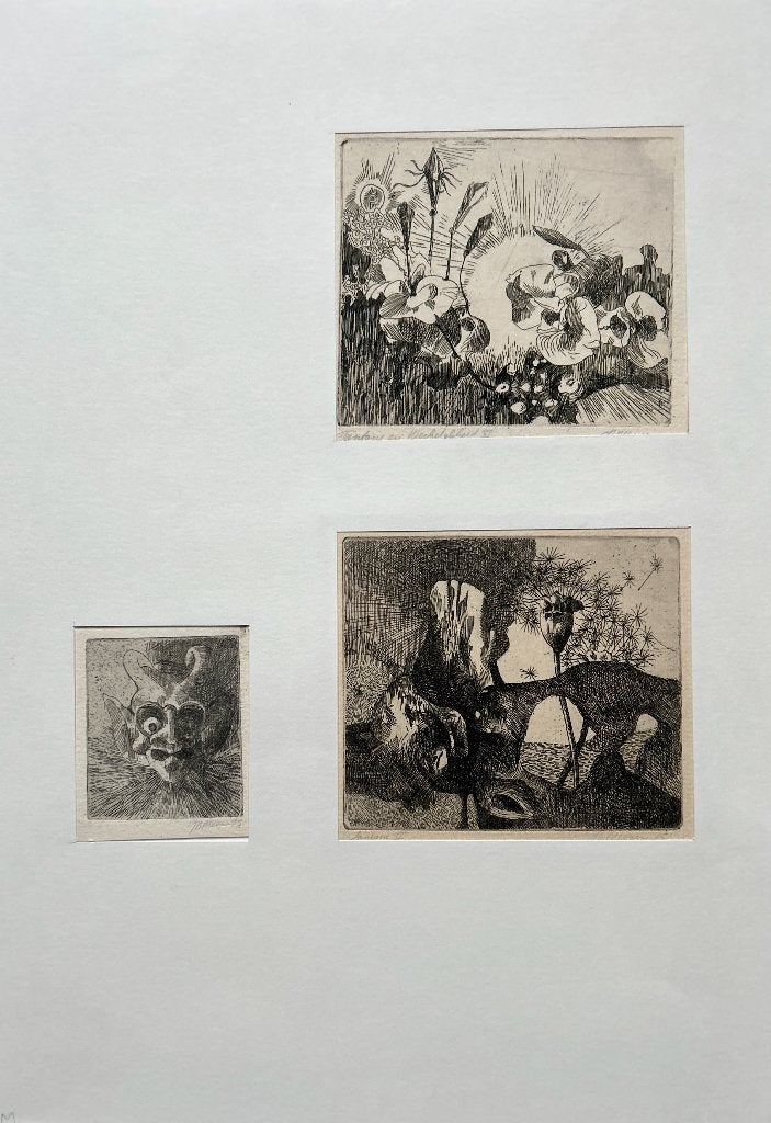 3 etsen Jan Bernard Meinen in passe-partout  ZOMEROPRUIMING, Antiek en Kunst, Kunst | Litho's en Zeefdrukken, Origineel, Ophalen of Verzenden