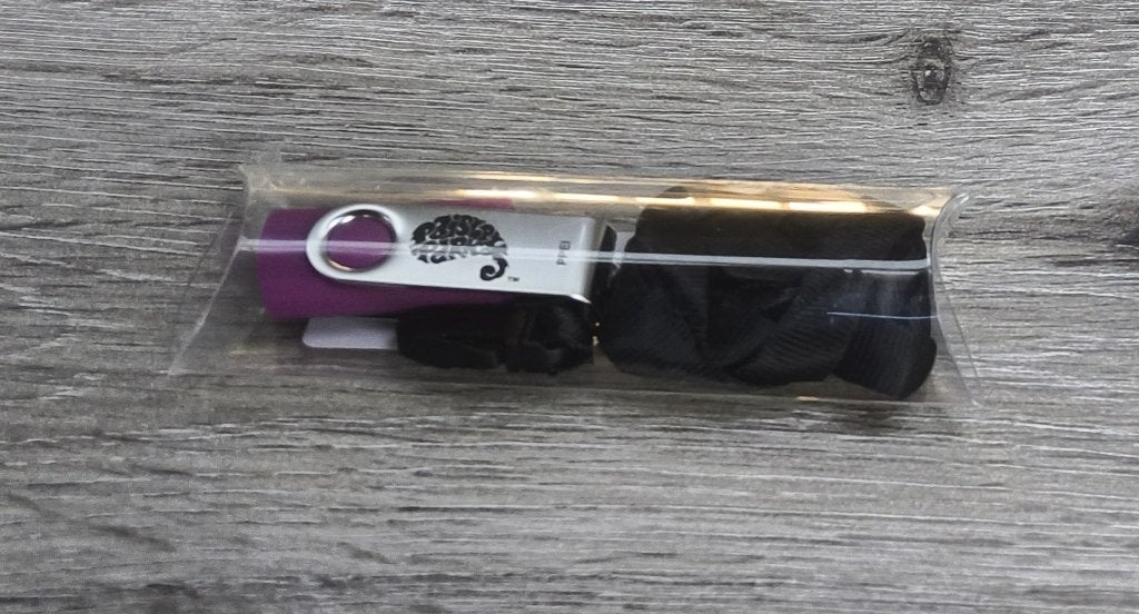 Prince paisley park 4 gb usb stick met logo, Ophalen of Verzenden, Nieuw