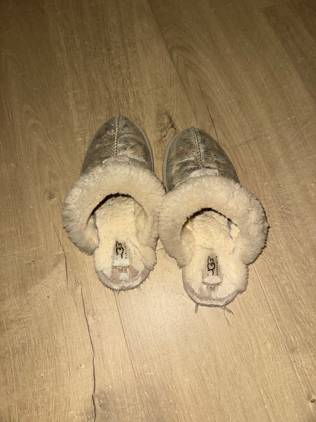 UGG Australia Pantoffels Maat 36, Kleding | Dames, Schoenen, Ophalen of Verzenden, Gedragen, Pantoffels of Sloffen, Grijs