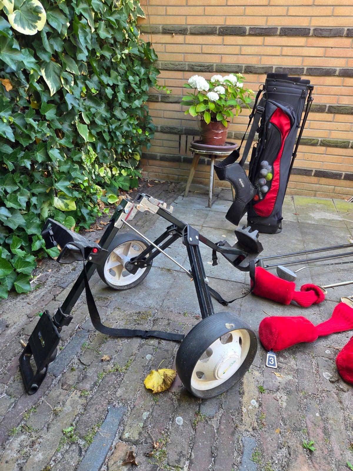 Complete golfset: Cobra clubs, Hippo tas, Easyglide trolley, Ophalen, Gebruikt, Set, Overige merken