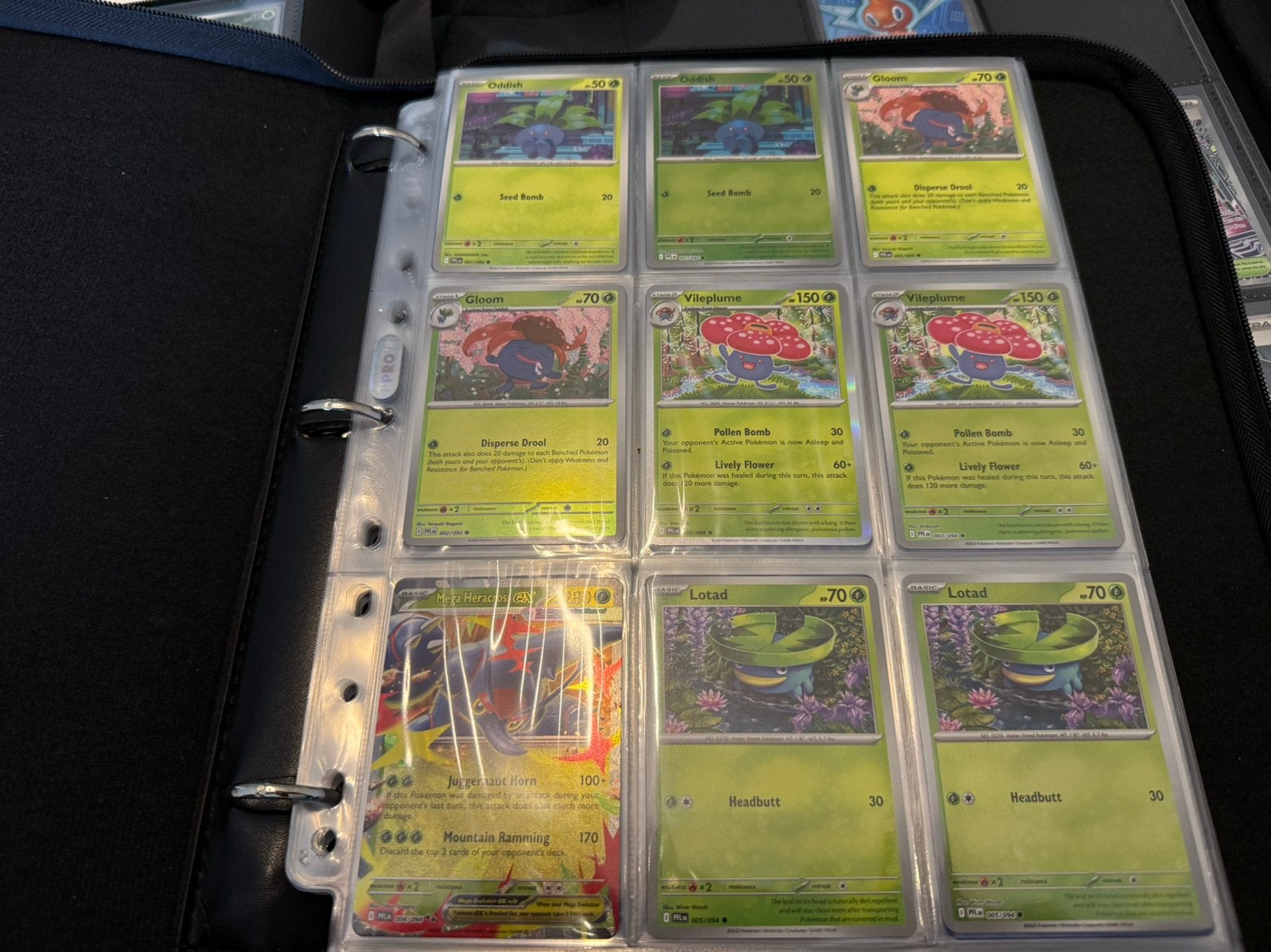 Pokemon Phantasmal Flames 100 % Base Set + mooie ring binder, Ophalen, Zo goed als nieuw, Meerdere kaarten, Foil