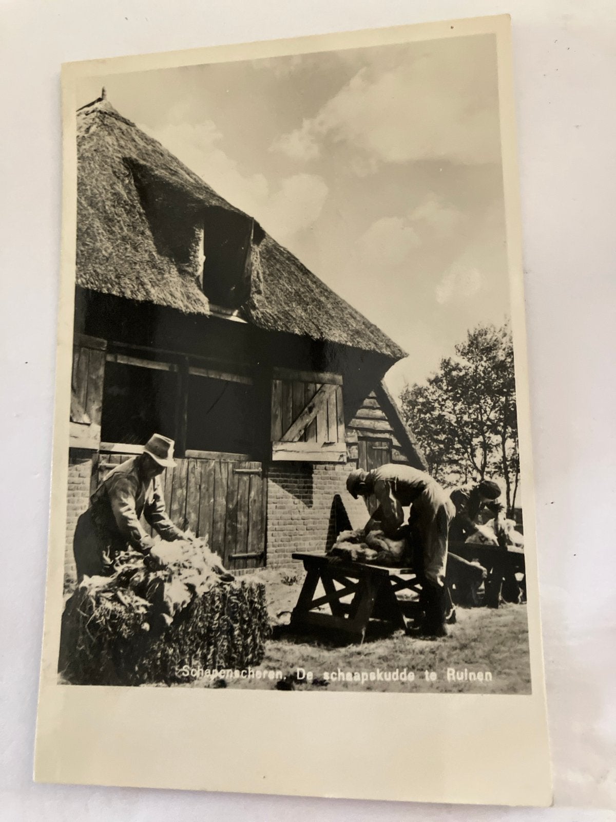 Oude Ansichtkaart Schapenscheren Ruinen Drenthe, Ophalen of Verzenden, 1920 tot 1940, Gelopen, Drenthe