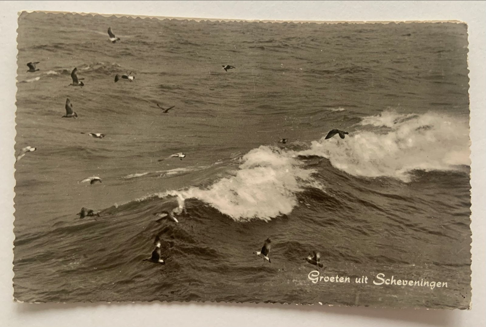 Scheveningen - Golven en Meeuwen (1959), Ophalen of Verzenden, 1940 tot 1960, Gelopen, Zuid-Holland