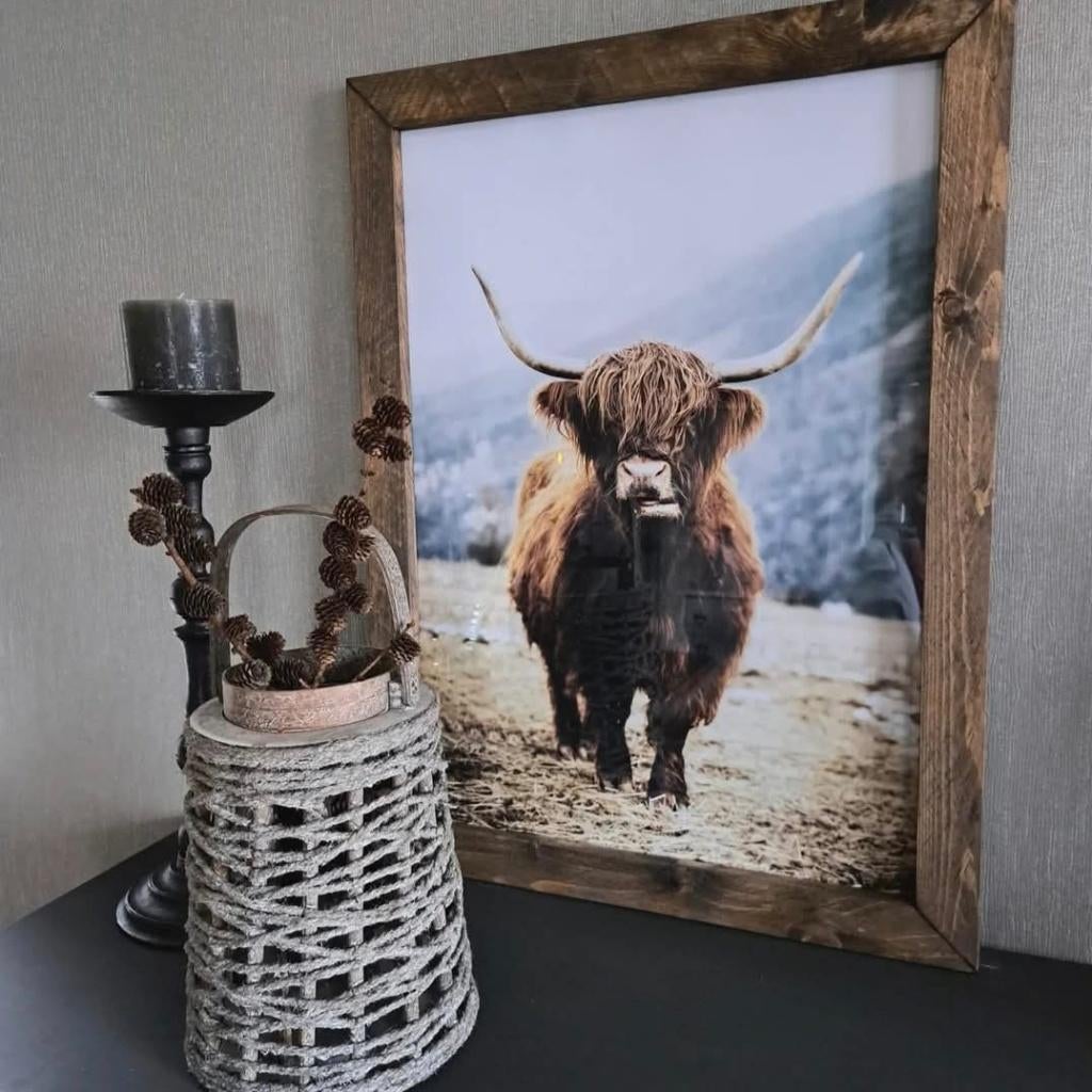 Stieren poster in landelijk houten lijst, Ophalen, Minder dan 50 cm, 50 tot 75 cm, Zo goed als nieuw