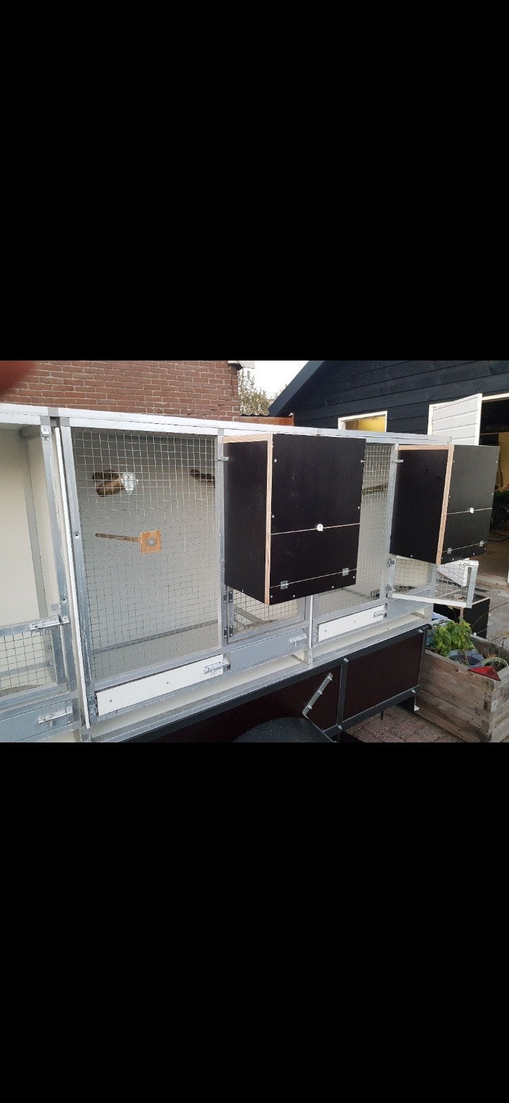 6 broedkooien met 3 buiten kooien, Dieren en Toebehoren, Ophalen of Verzenden