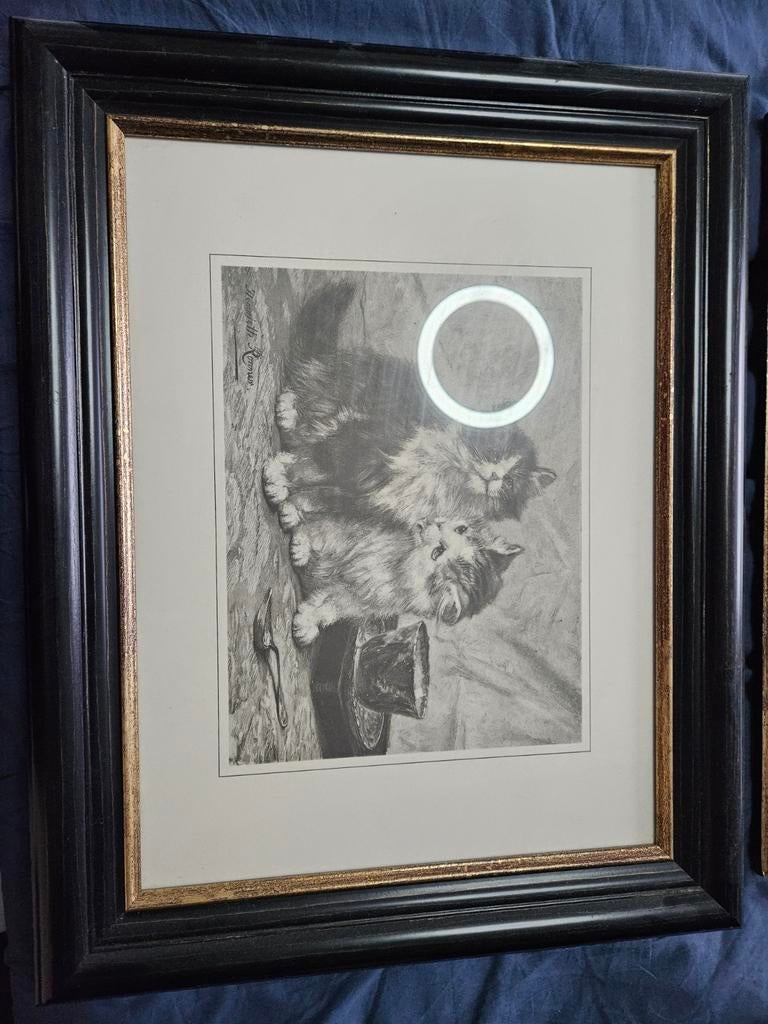 2 ingelijste prints van kittens - gesigneerd, Ophalen, Gebruikt, Oorspronkelijke maker, Print