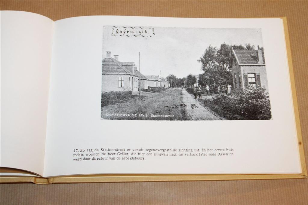 Oosterwolde in Oude Ansichten — Deel 1, Boeken, Ophalen of Verzenden, Gelezen
