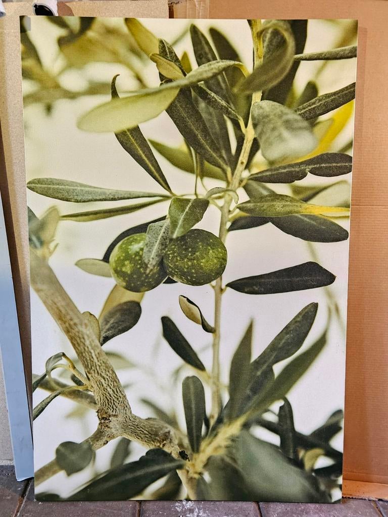 Schilderij olijf, ikea, Ophalen