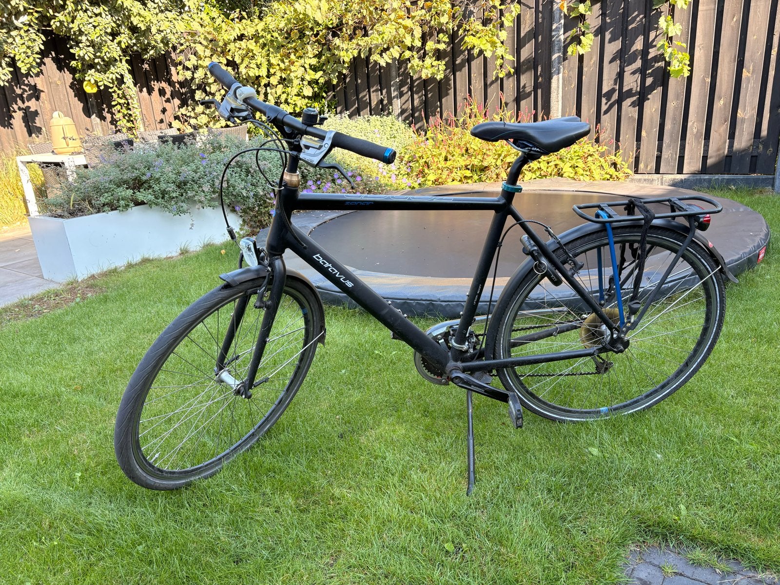 Batavus zonar