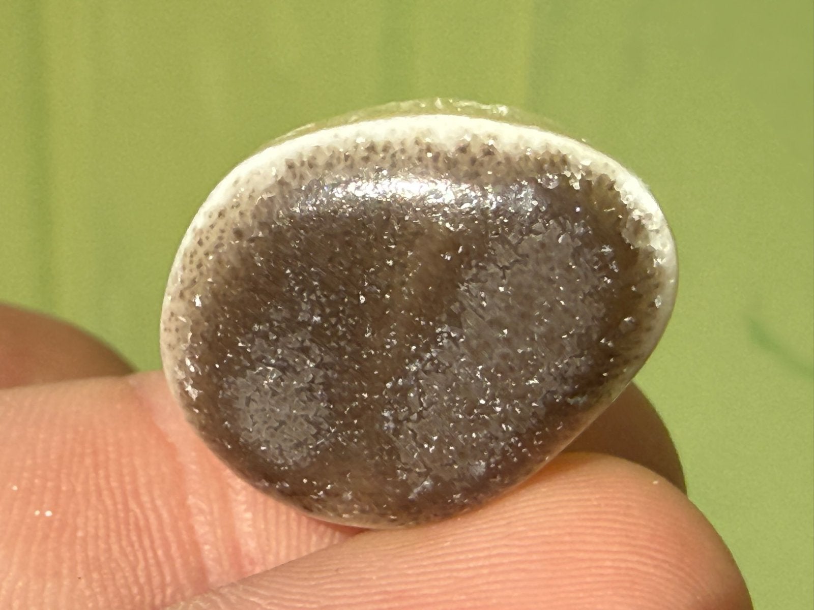 Zebracalciet zebra calciet broekzaksteen mineralen, Ophalen of Verzenden, Mineraal