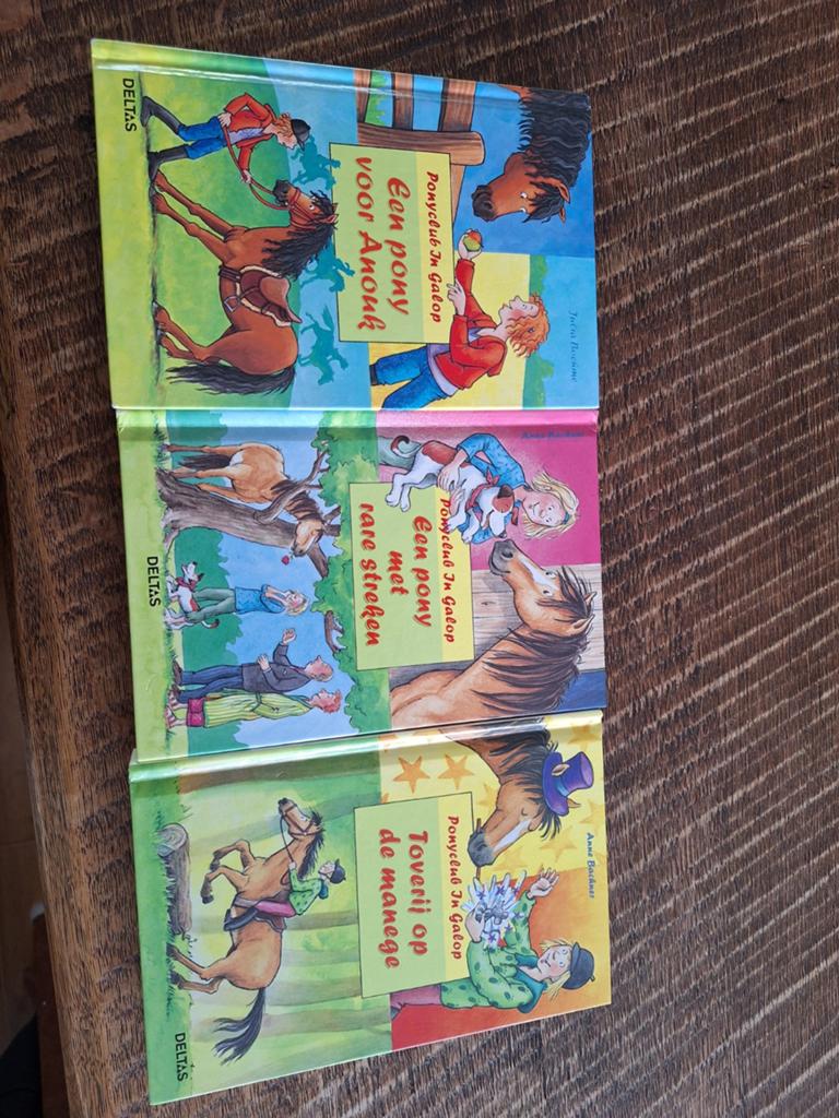 Ponyclub De Galop boekenreeks (3 delen), Boeken, Ophalen of Verzenden, Gelezen, Jeanne Billeau, Fictie algemeen
