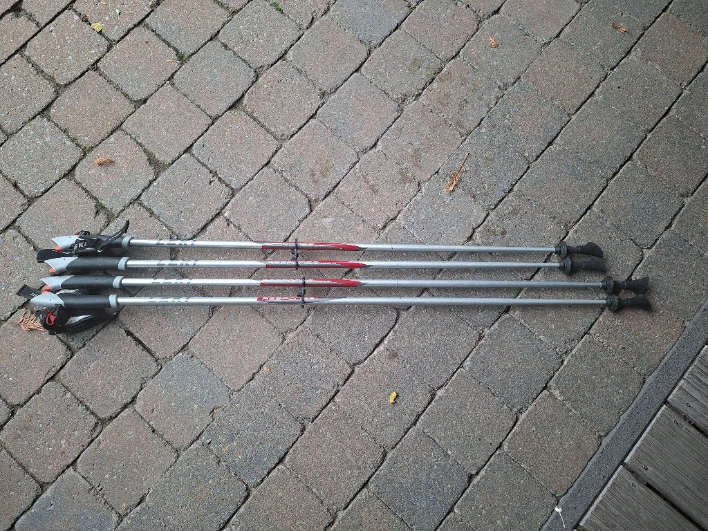 Leki Titanium Nordicwalking stokken, Ophalen, Gebruikt, Wandelstok
