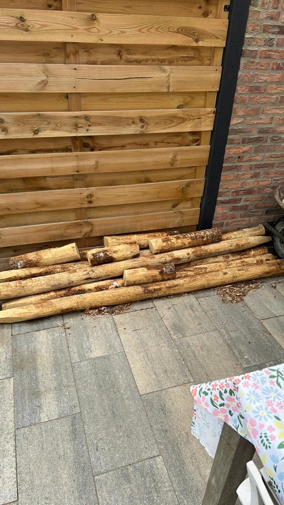 Palen om boompjes vast te zetten in tuin., Tuin en Terras, Ophalen, Zo goed als nieuw, Minder dan 180 cm, Palen