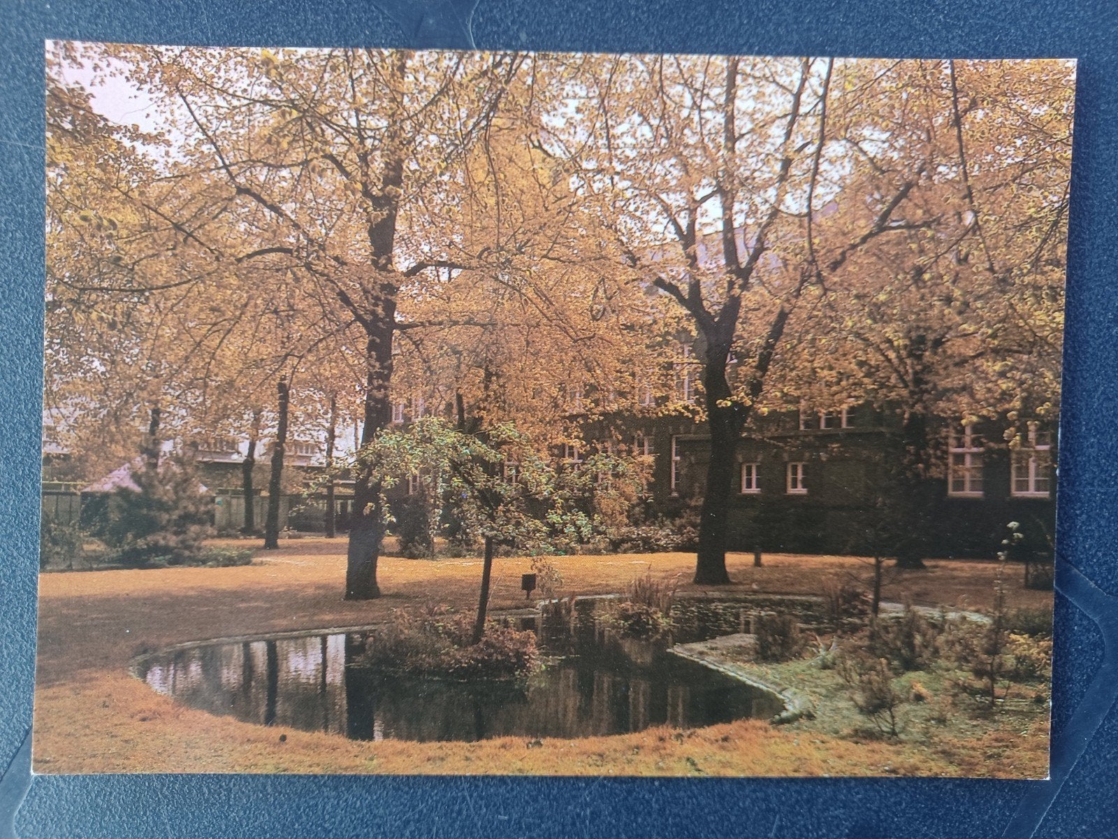 Heeze Sterksel Kempenhaeghe Huize Providentia (2), Verzamelen, Ansichtkaarten | Nederland, Ophalen of Verzenden, 1980 tot heden