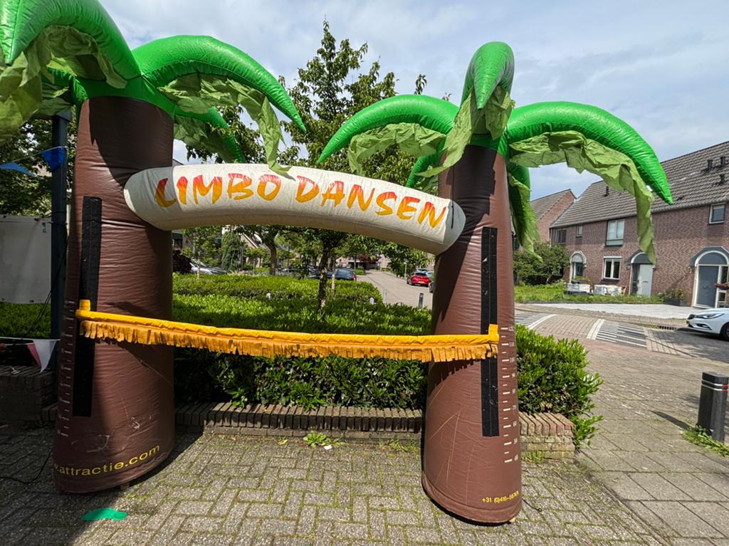 Limbo dansen te huur, Ophalen, Zo goed als nieuw, Overige