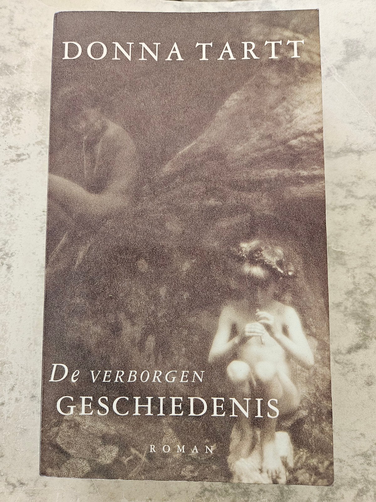 Donna Tartt - De verborgen geschiedenis, Boeken, Ophalen of Verzenden, Zo goed als nieuw, Donna Tartt