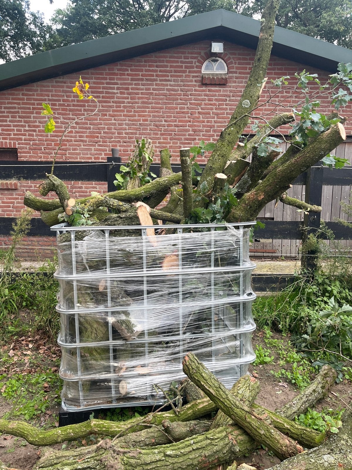 Vers gesnoeide takken en blokken eikenhout, Minder dan 3 m³, Ophalen of Verzenden, Eikenhout, Takken