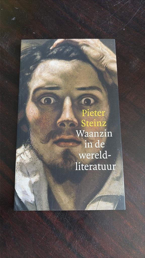 Waanzin in de wereldliteratuur - Pieter Steinz, Ophalen of Verzenden, Zo goed als nieuw, Nederland