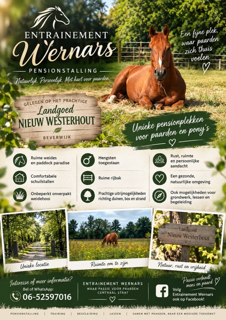 Uniek pony/paarden pension (Noord-Holland), Weidegang, 2 of 3 paarden of pony's