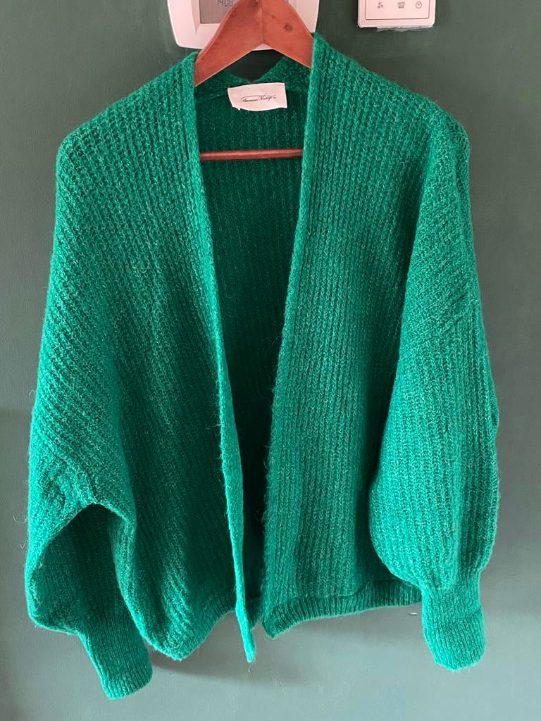 American Vintage vest, Ophalen of Verzenden, Zo goed als nieuw, Maat 36 (S), Groen