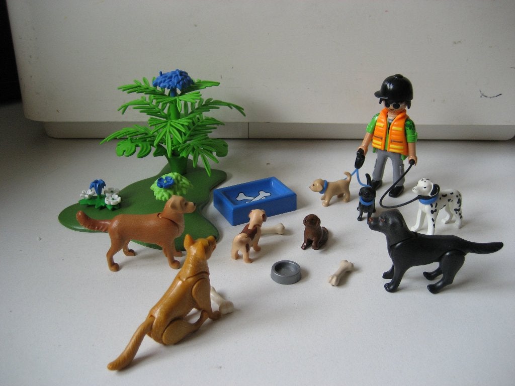 playmobil hondenuitlaatservice, Ophalen of Verzenden, Zo goed als nieuw