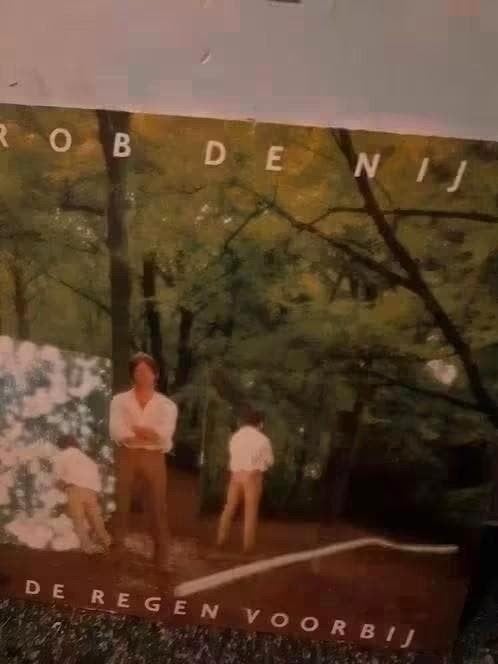 Rob de Nijs - De Regen Voorbij (Vinyl LP), Ophalen of Verzenden, Gebruikt, Pop