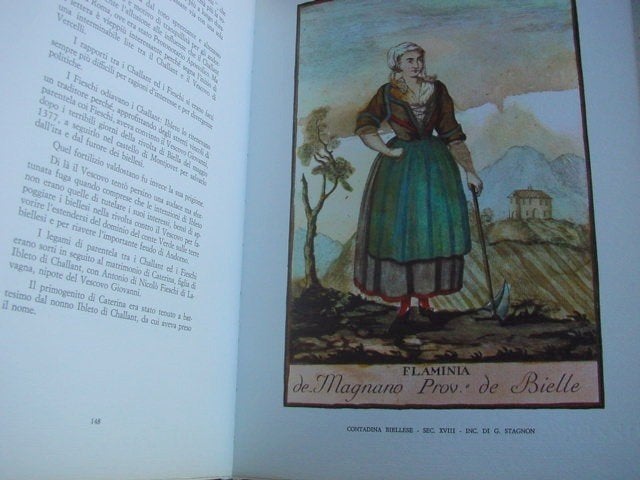 Valle d'Aosta e Biellese-nr. 276/1000 gesigneerd Luigi Malle, Ophalen of Verzenden, Zo goed als nieuw, Schilder- en Tekenkunst