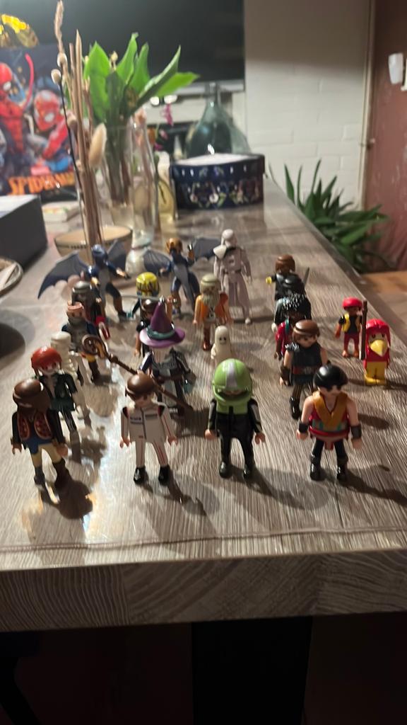 Playmobil poppetjes, Ophalen of Verzenden, Gebruikt