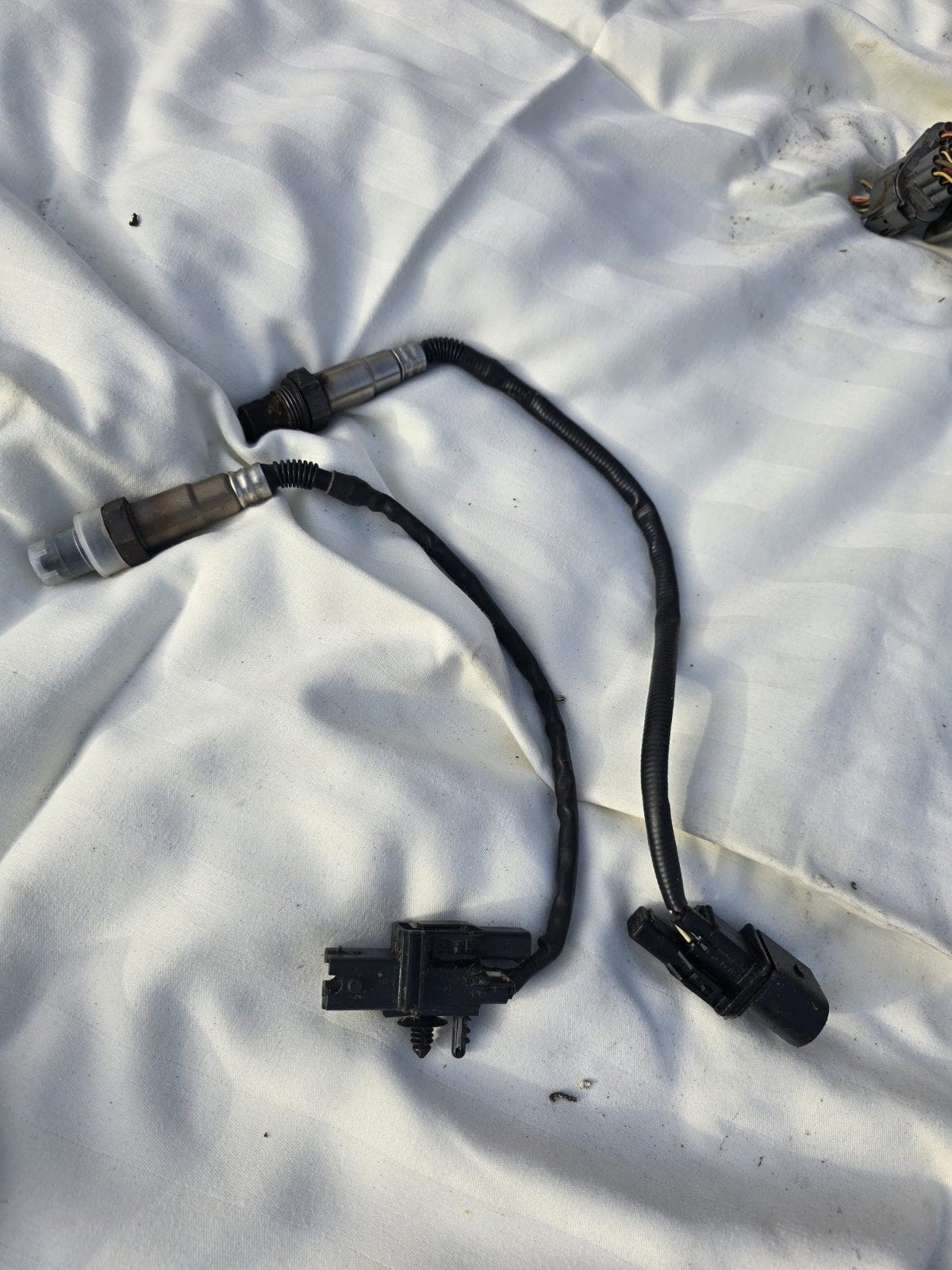 Wideband Bosch LSU Sensoren - Kort Gebruikt, Ophalen of Verzenden, Gebruikt